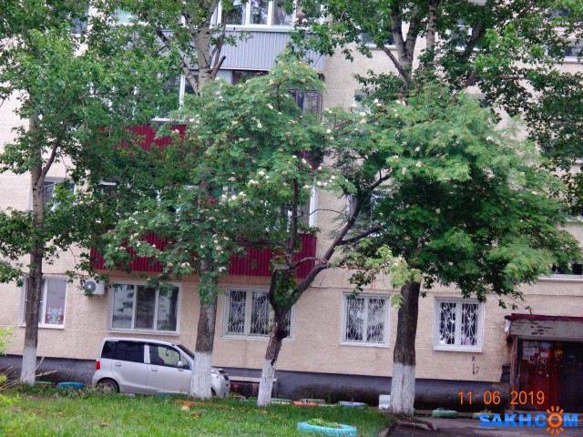 DSC08630

Просмотров: 829
Комментариев: 0