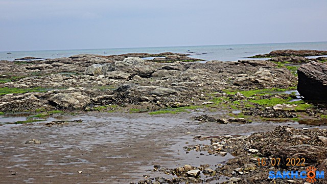DSC00896