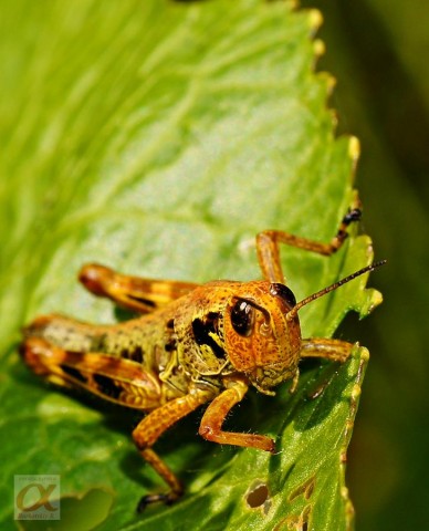 ***

Просмотров: 554
Комментариев: 0