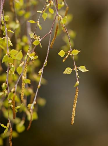 DSC04898
Фотограф: Сергей Буркацкий

Просмотров: 404
Комментариев: 0