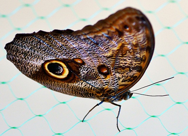 ***
Фотограф: Сергей Буркацкий

Просмотров: 682
Комментариев: 0