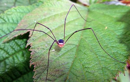 DSC03599
Фотограф: Сергей Буркацкий

Просмотров: 429
Комментариев: 0