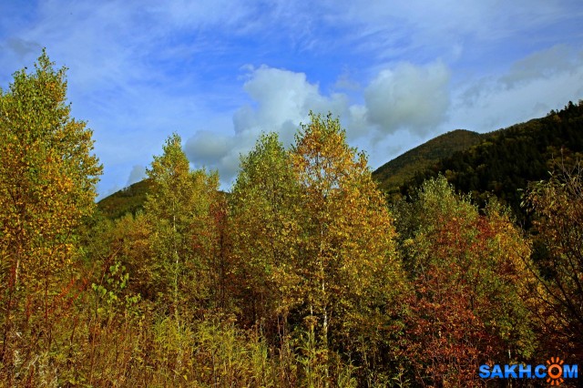 013-к-м

Просмотров: 442
Комментариев: 0