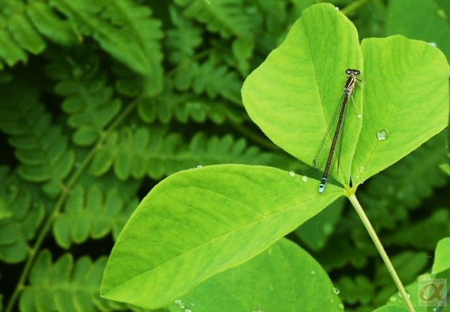 ***
Фотограф: Сергей Буркацкий

Просмотров: 729
Комментариев: 0