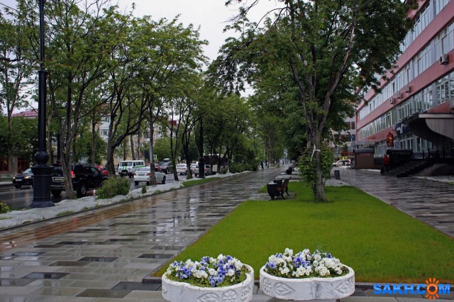 006-к

Просмотров: 495
Комментариев: 0