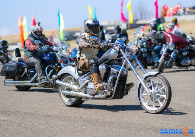 Медведи в Холмске. 7