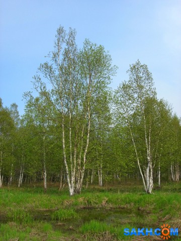 Dscn9798-к

Просмотров: 756
Комментариев: 0