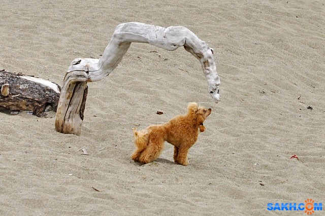 Люся с удавом

Просмотров: 902
Комментариев: 2