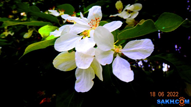 DSC09886