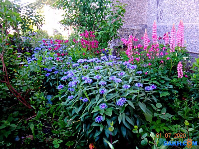 DSC02152

Просмотров: 827
Комментариев: 0