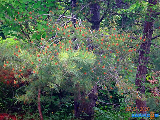 DSC02396

Просмотров: 513
Комментариев: 0