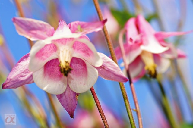 ***

Просмотров: 868
Комментариев: 0