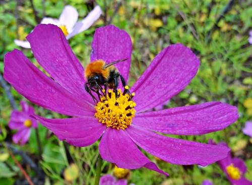 DSC03658
Фотограф: Сергей Буркацкий

Просмотров: 436
Комментариев: 0