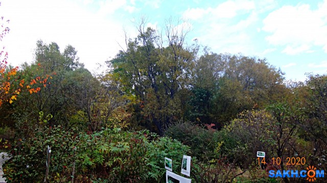 DSC07989
