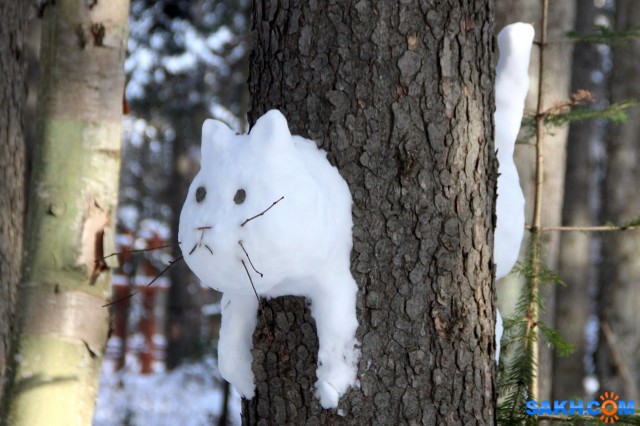 Снежный кот

Просмотров: 434
Комментариев: 2