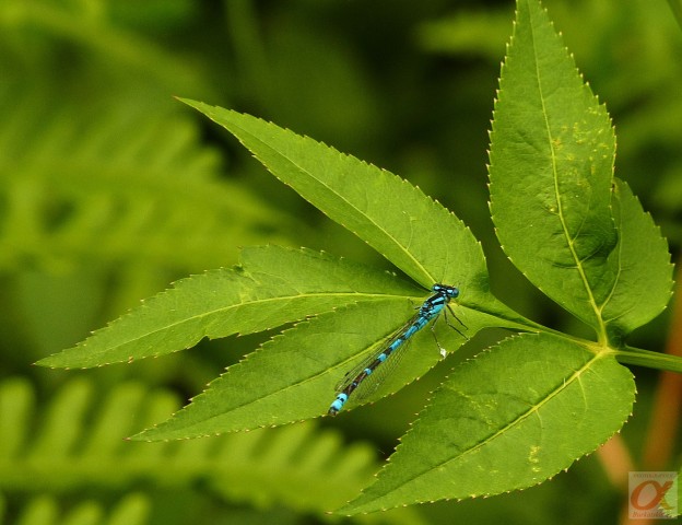 ***
Фотограф: Сергей Буркацкий

Просмотров: 813
Комментариев: 0