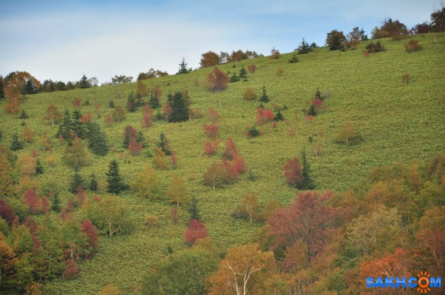 G-sOcXgyRf4

Просмотров: 436
Комментариев: 0