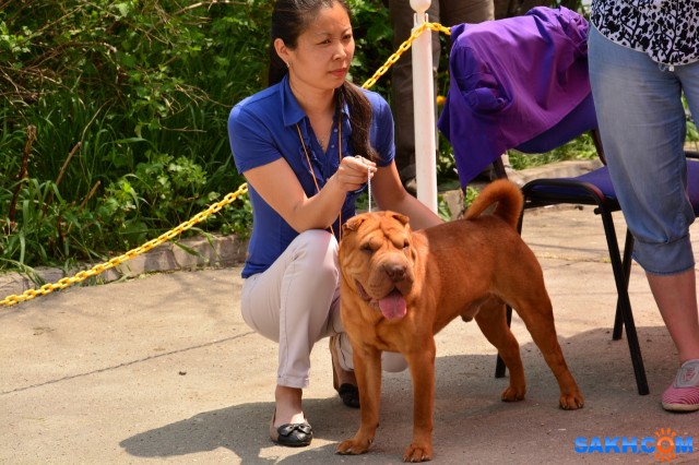 DSC_0199 (1280x853)
Фотограф: Vitus

Просмотров: 328
Комментариев: 0