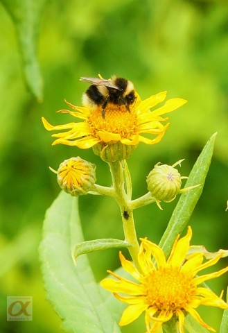 ***
Фотограф: Сергей Буркацкий

Просмотров: 796
Комментариев: 0