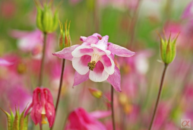 ***

Просмотров: 1024
Комментариев: 0