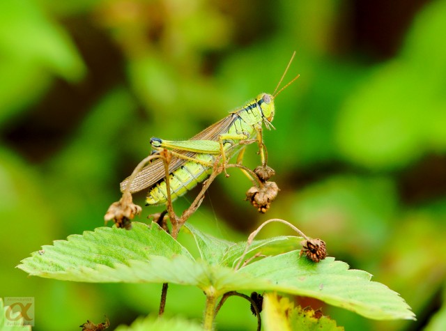 ***
Фотограф: Сергей Буркацкий

Просмотров: 918
Комментариев: 2