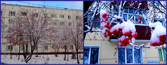 Рябина.

Просмотров: 447
Комментариев: 0