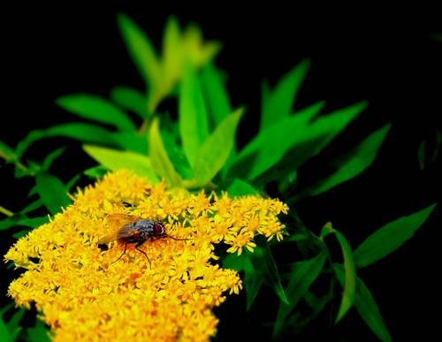 thumb_DSC04244_1024
Фотограф: Сергей Буркацкий

Просмотров: 461
Комментариев: 0