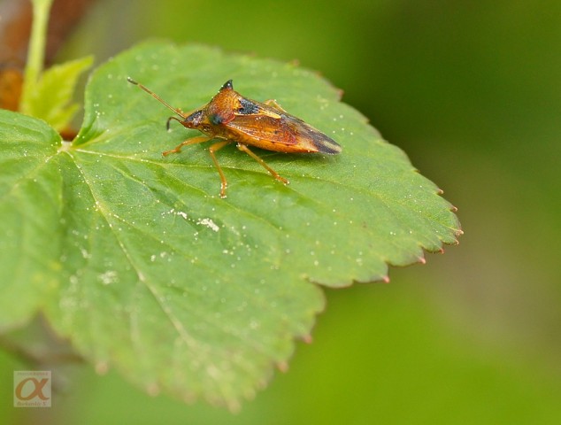 ***
Фотограф: Сергей Буркацкий

Просмотров: 849
Комментариев: 0
