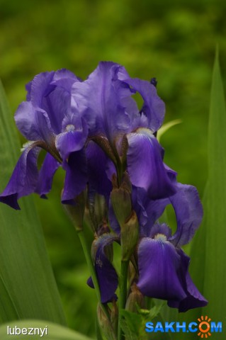 DSC02911
Фотограф: NIK

Просмотров: 387
Комментариев: 0