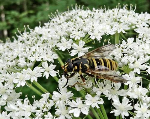 DSC00312
Фотограф: Сергей Буркацкий

Просмотров: 169
Комментариев: 0