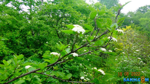 DSC09843

Просмотров: 283
Комментариев: 0