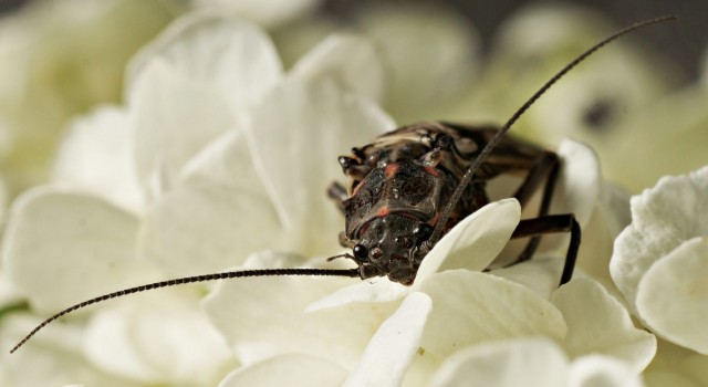 DSC00834
Фотограф: Сергей Буркацкий

Просмотров: 364
Комментариев: 0