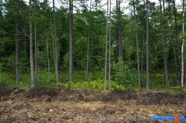 DSC05197
Фотограф: vikirin

Просмотров: 2868
Комментариев: 0