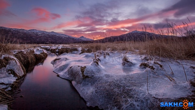 02

Просмотров: 503
Комментариев: 0