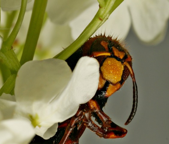 DSC00865
Фотограф: Сергей Буркацкий

Просмотров: 387
Комментариев: 0