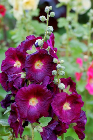 ***
Фотограф: Сергей Буркацкий

Просмотров: 1091
Комментариев: 0