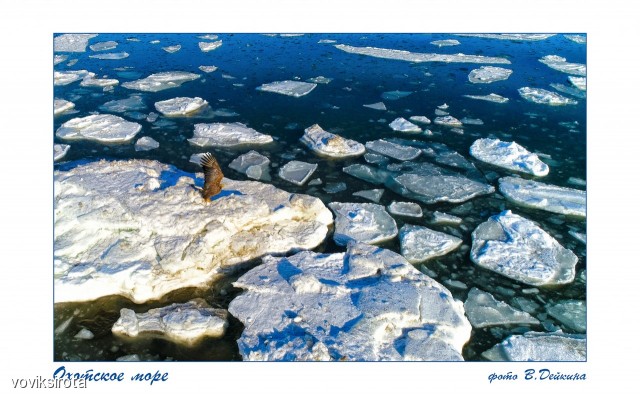 Охотское море
Фотограф: В.Дейкин

Просмотров: 3241
Комментариев: 1