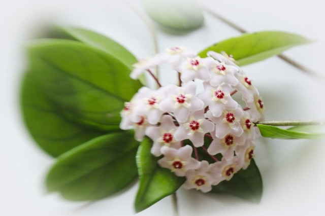 ***

Просмотров: 657
Комментариев: 0