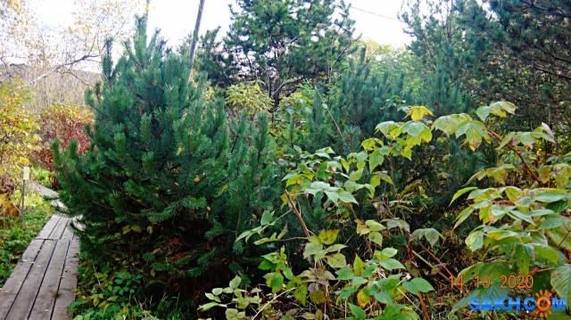 DSC07985

Просмотров: 434
Комментариев: 0