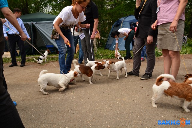 DSC_0164 (1280x853)
Фотограф: Vitus

Просмотров: 376
Комментариев: 0