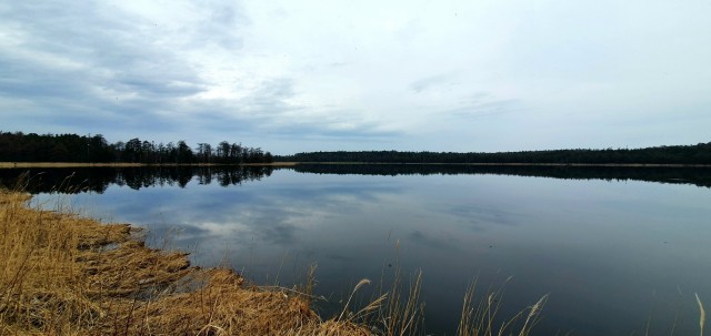 20220507_165559

Просмотров: 288
Комментариев: 0