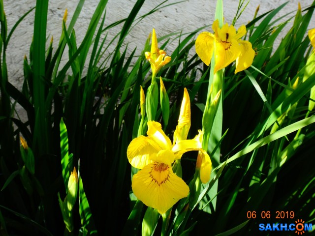 DSC08222

Просмотров: 704
Комментариев: 0