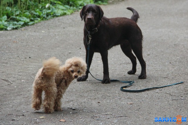 Друзья

Просмотров: 485
Комментариев: 0