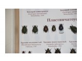 31
Фотограф: 11m

Просмотров: 601
Комментариев: 0