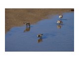 александровск 572

Просмотров: 414
Комментариев: 0