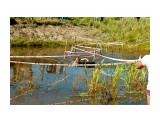 Внедорожник 2012
Фотограф: фотохроник

Просмотров: 744
Комментариев: 0