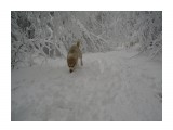 Название: P1010026
Фотоальбом: Ira
Категория: Животные
Фотограф: kin

Время съемки/редактирования: 2004:01:01 00:00:00
Фотокамера: OLYMPUS_IMAGING_CORP.   - X450,D535Z,C370Z
Диафрагма: f/2.9
Выдержка: 1986/1000000
Фокусное расстояние: 580/100
Светочуствительность: 64


Просмотров: 954
Комментариев: 0