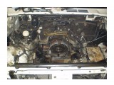 Название: PB130147
Фотоальбом: PAJERO 6G72
Категория: Авто, мото

Время съемки/редактирования: 2009:11:13 08:15:38
Фотокамера: OLYMPUS IMAGING CORP.   - FE170,X760
Диафрагма: f/3.1
Выдержка: 1/30
Фокусное расстояние: 630/100
Светочуствительность: 125


Просмотров: 1247
Комментариев: 0