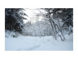 обкатка снегоступов
Фотограф: Федик О.Б.

Просмотров: 525
Комментариев: 0