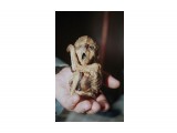 555
хах

Просмотров: 1064
Комментариев: 